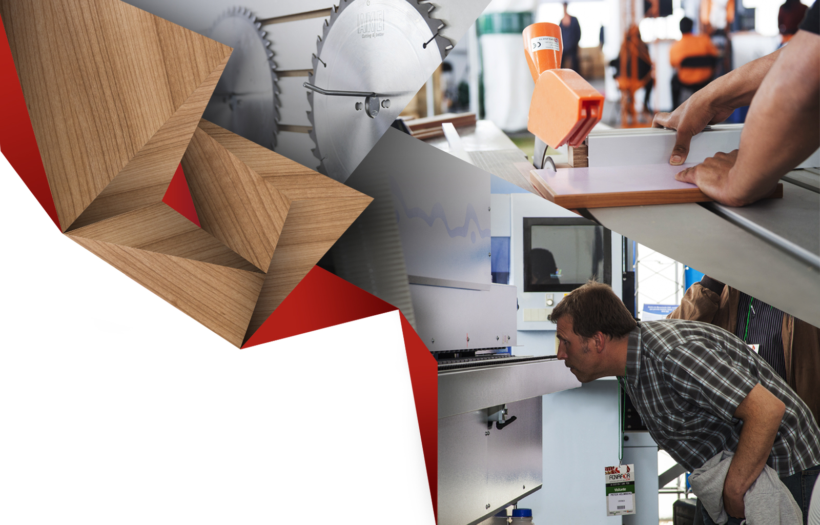 FENAFOR – Innovación y Soluciones a tu Medida